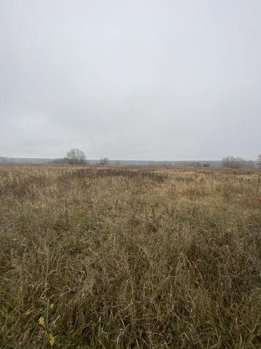 6 соток в Ірпені за кращою ціною! Ділянка під будинок, інвнстицію!