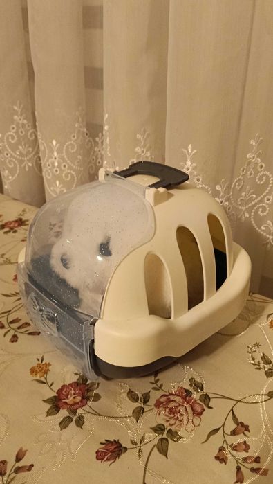 Zabawka piesek interaktywny