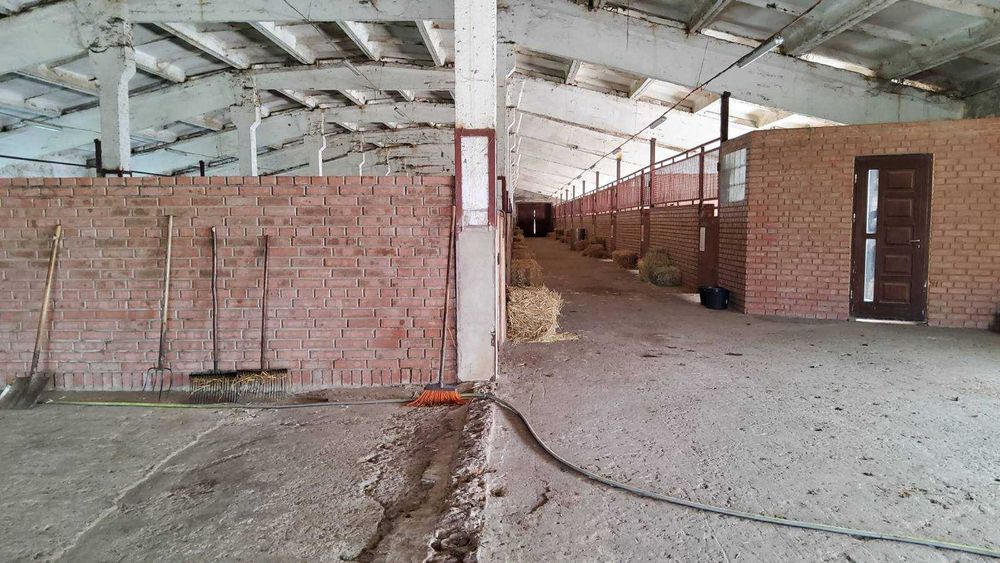 Продам кінну ферму