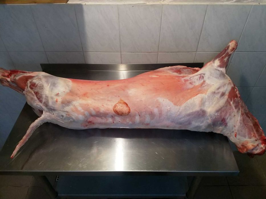 Jagnięcina świeża