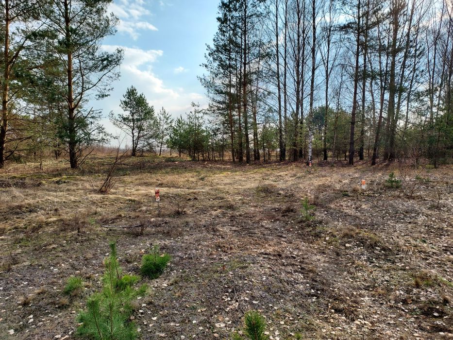 Działka budowlana we wsi Hipolitów gm. Grójec, bezpośrednio - Widok 3