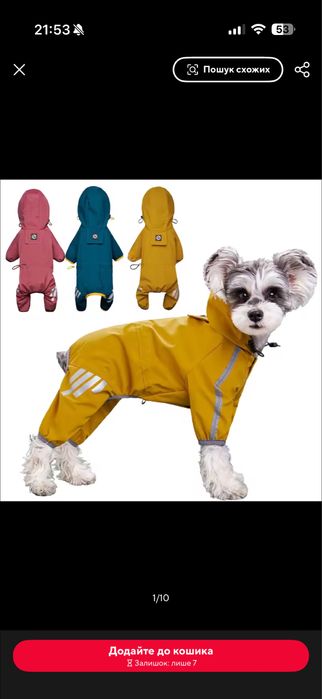 Дощовик для песика синій