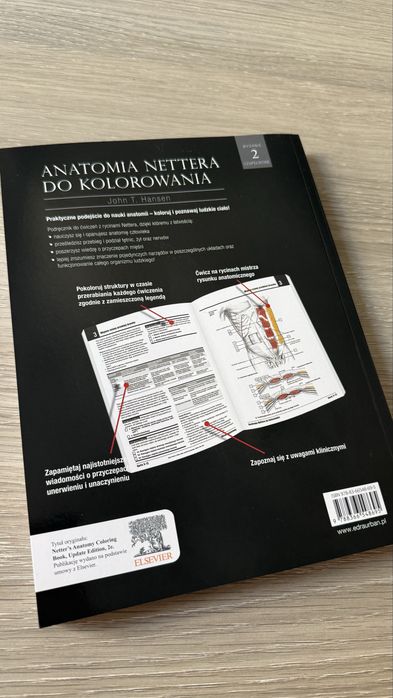 Anatomia Nettera do kolorowania