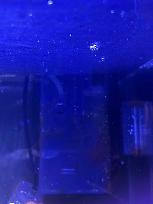 Skimmer SK-300 para aquarios até 95l