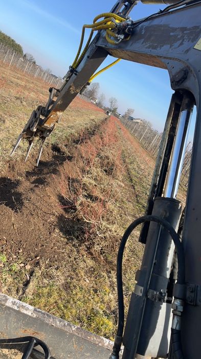 Uslugi minikoparka 5 ton