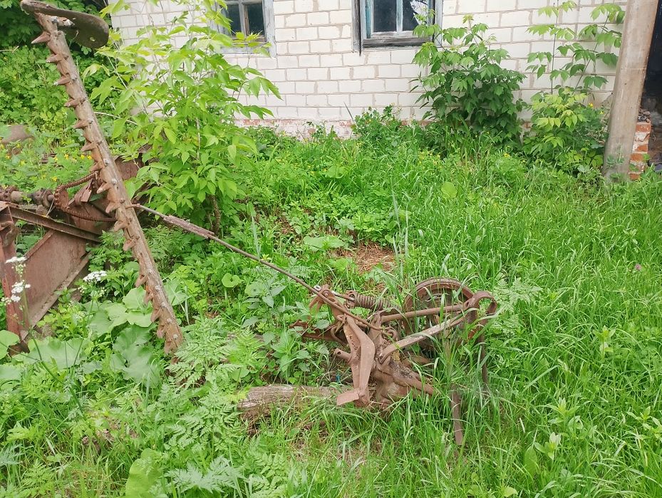 Косарка сегментна