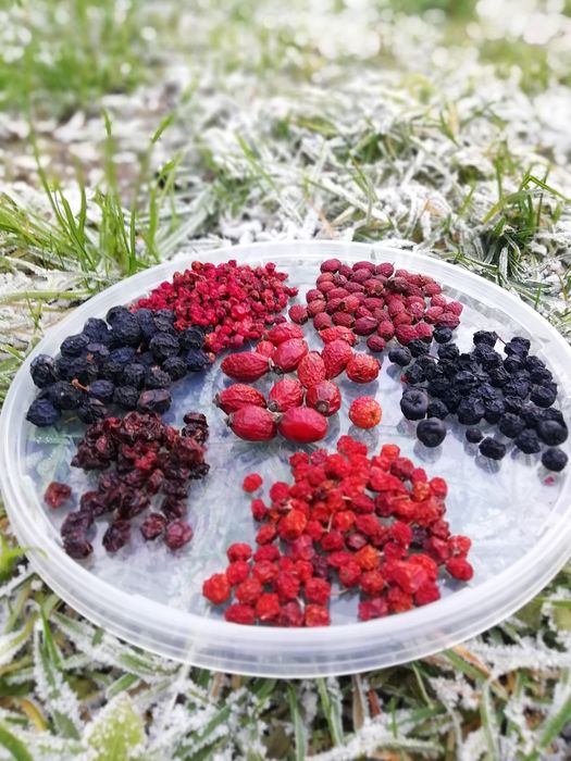 Плодово-ягідний чай-чорниця, брусниця, горобина, аронія, шипшина, глід