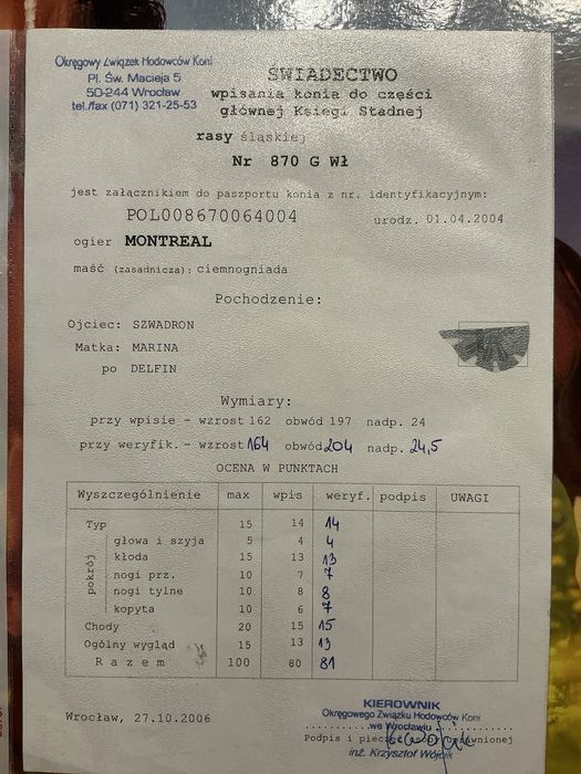 Ogier slaski MONTREAL