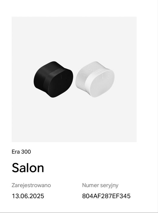 Sonos Era 300 x2