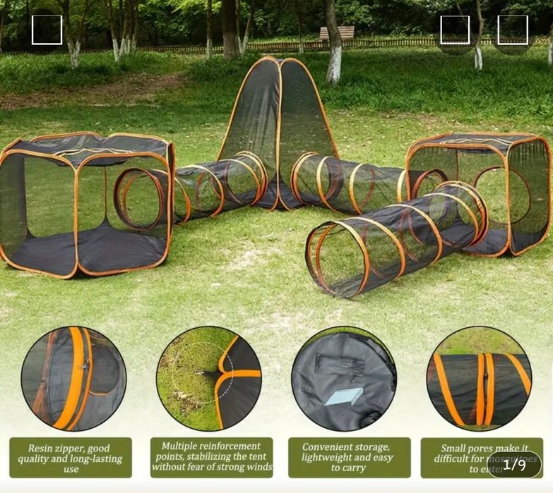 Treino agility para cães pequenos