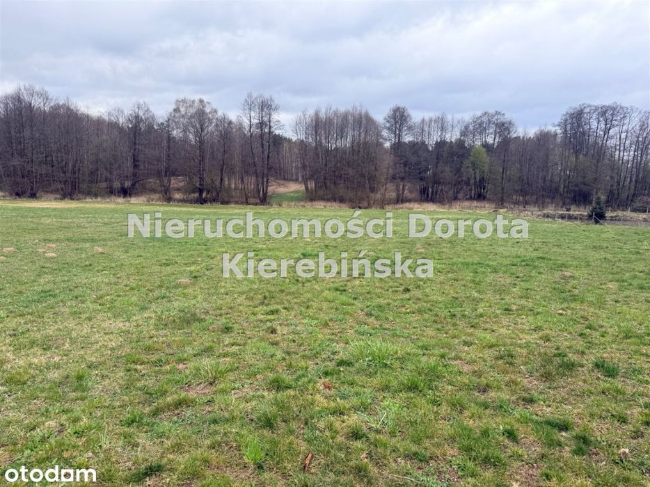 Działka z dosępem do rzeki- Rzeczyca - Więcej