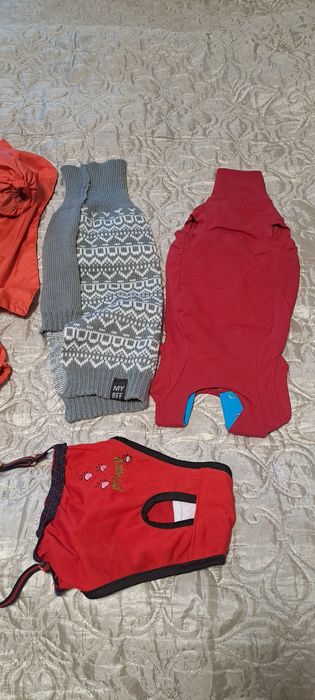 Одежда для маленьких собачек!