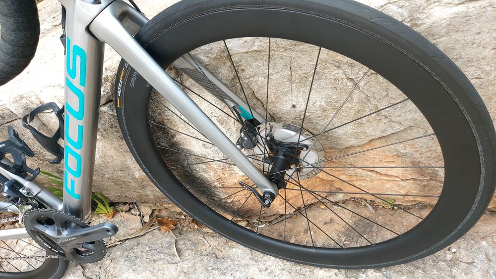 Focus Izalco Max t49 dicotomia di2