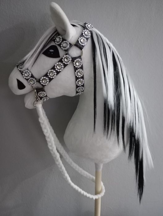 Hobby hors konik