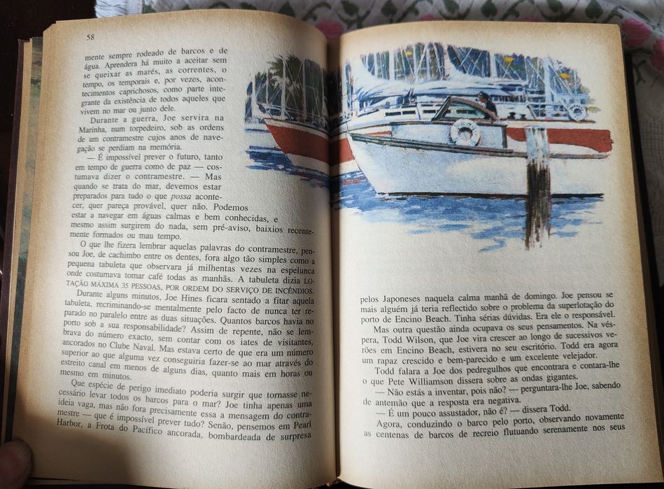 Livro Condensado com 4 Histórias e Ilustrações