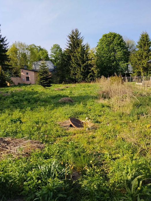 Nieruchomości działka - Widok 2