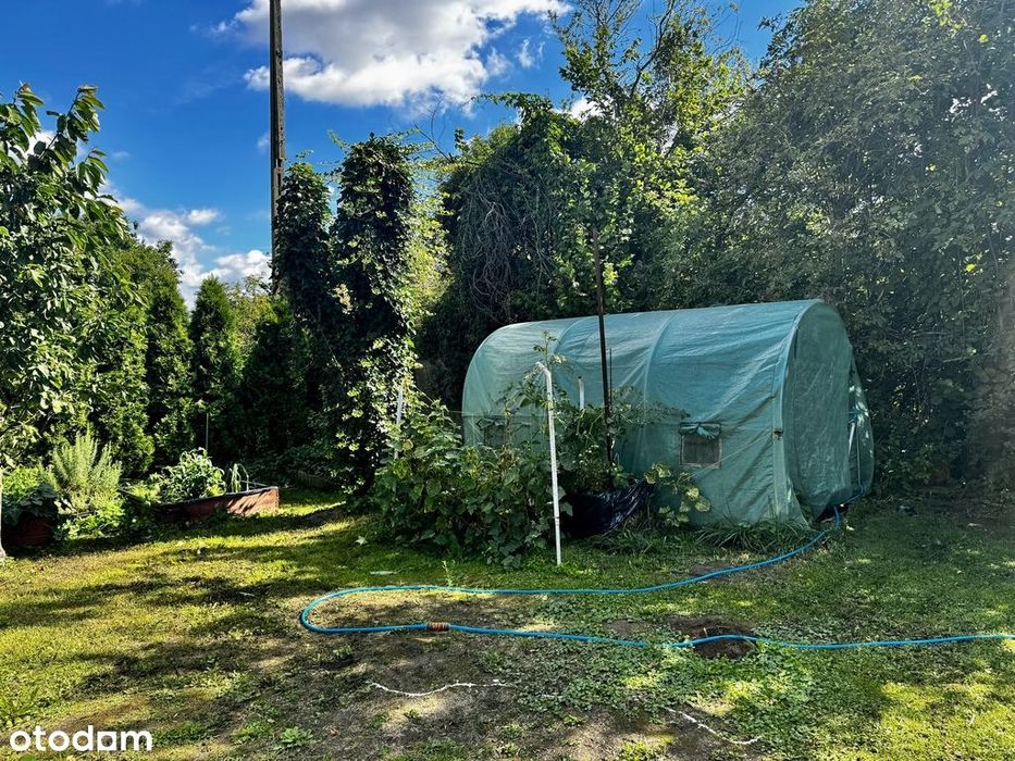 Miedzna Murowana | domek letniskowy | 600 m² dział