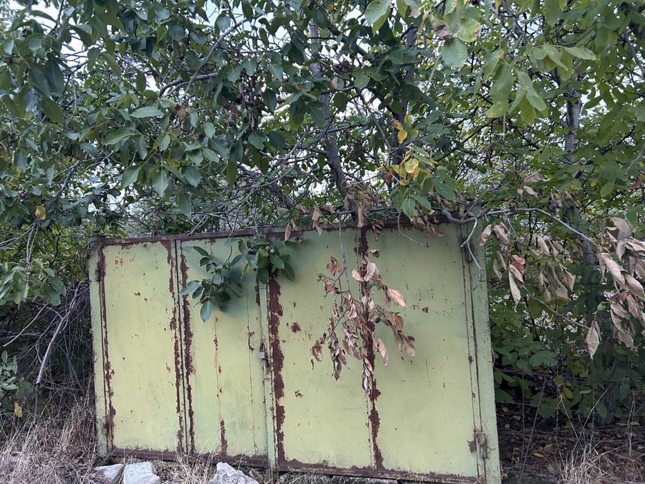 Супер пропозиція!