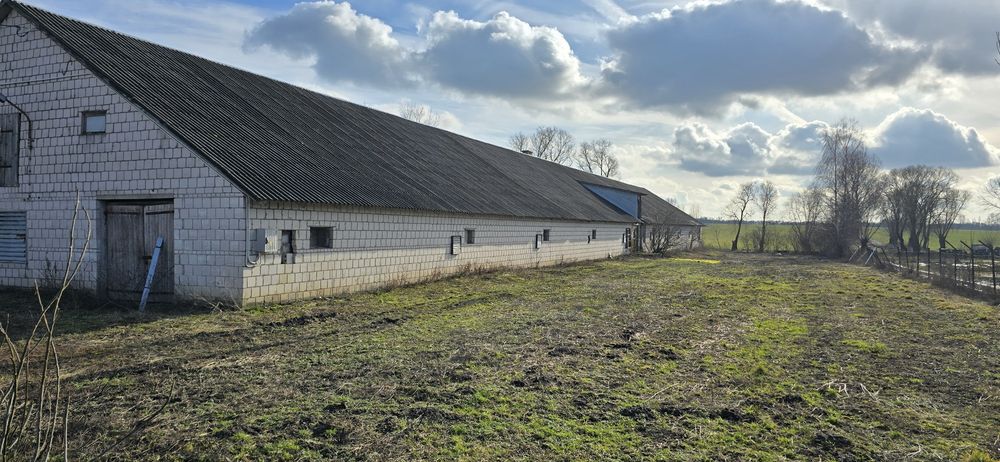 Budynek gospodarczy(kurnik)