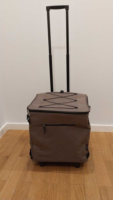 Carrinho de Compras com Bolsa Térmica