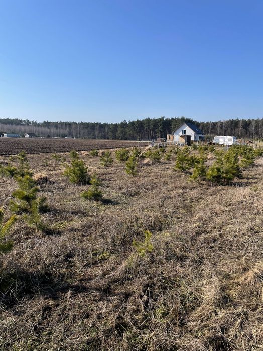 Piękna działka z warunkami zabudowy Nowy Sumin Bory Tucholskie