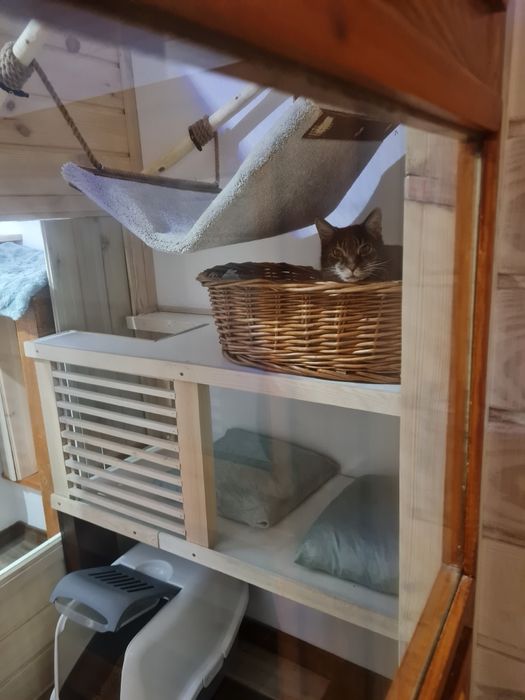 Hotel dla kota Poznań, Września "Kocie Apartamenty