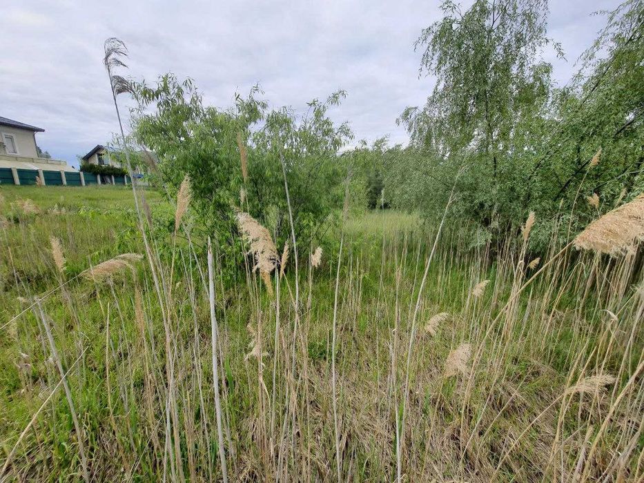 Козин, последний участок на закрытой улице, заезд в КГ Золотые Ворота
