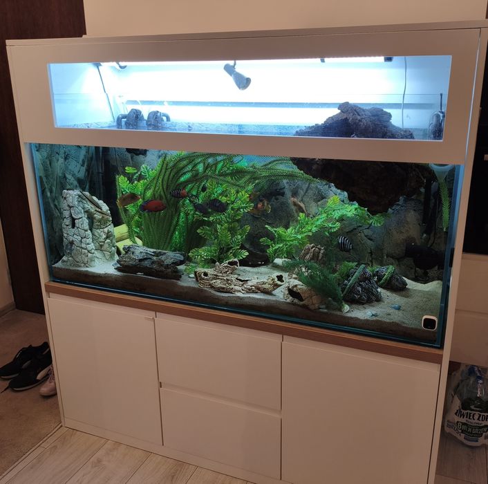 Akwarium plus szafka