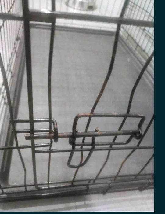 Jaula/Crate/Box para cão
