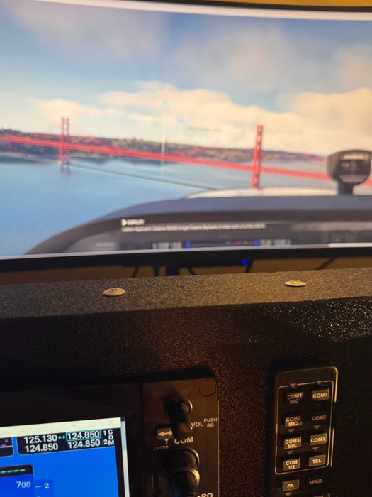 Flight Simulator with RealSimGear G1000 Panels