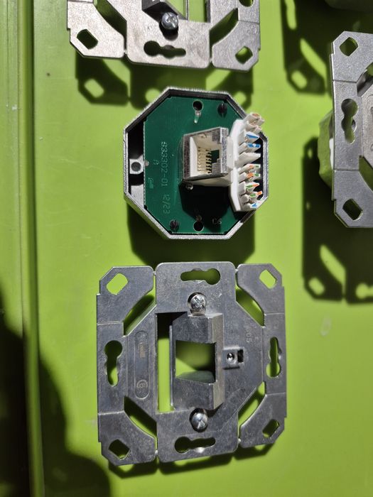 Gniazdo internetowe nowe