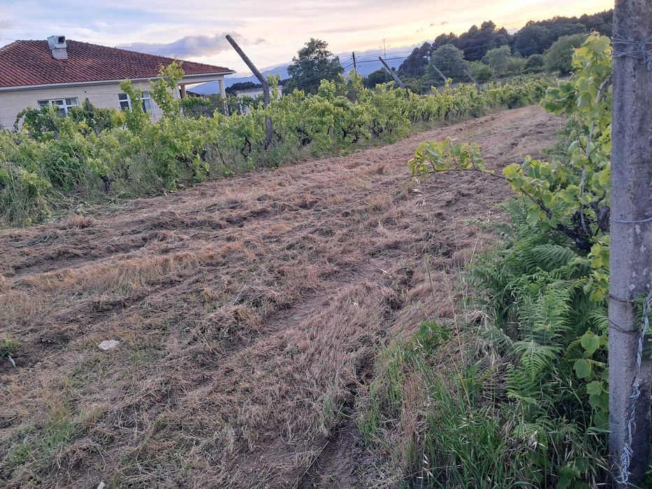 Terreno Rústico com Viabilidade de Construção 5.000 m² - Vale de Nogueiras, Vila Real