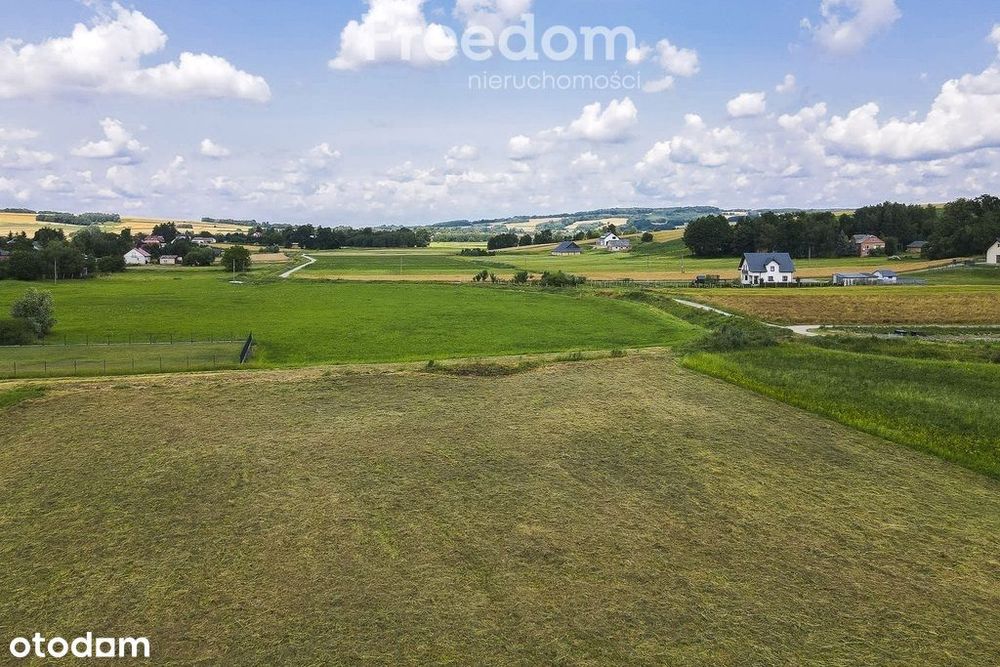 Działka 21,49 ar | Wz | blisko szkoła