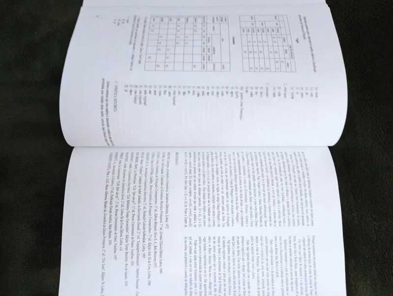 Pequeno curso de língua portuguesa.	Maria Inês Castelo Branco*