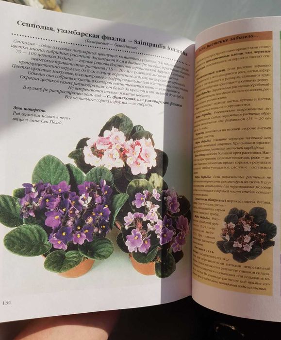 Книга Уход за комнатными растениями, В.Воронцов