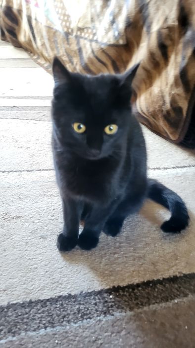 Девочка.4 - 4.5 месяца