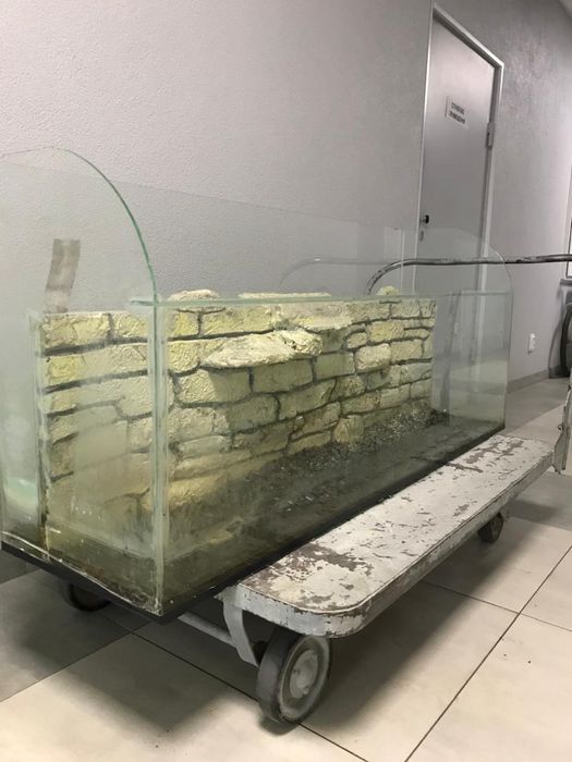 Продаю аквариум