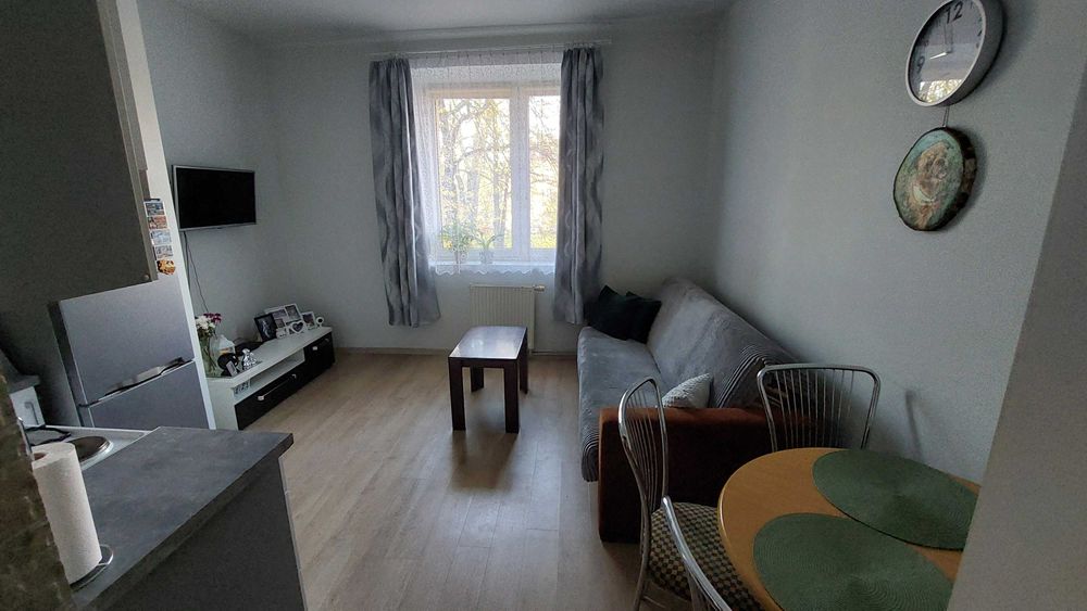 Mieszkanie w centrum miasta