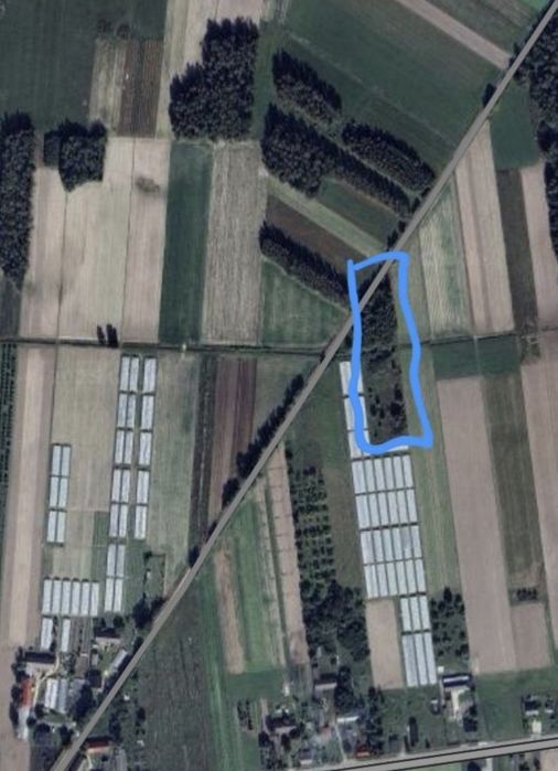 Ziemia rolna zalesiona brzózkami