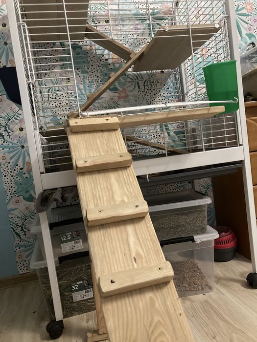 Klatka dla szynszyli