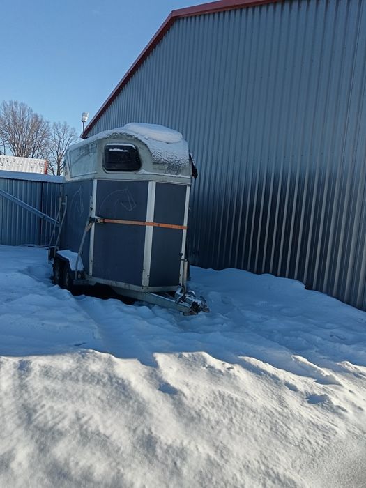 Przyczepka do koni  i bydła