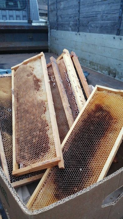 Продам суш рамки та корпуса Рут, Дадан, півкорпус 145, вулики бжіл