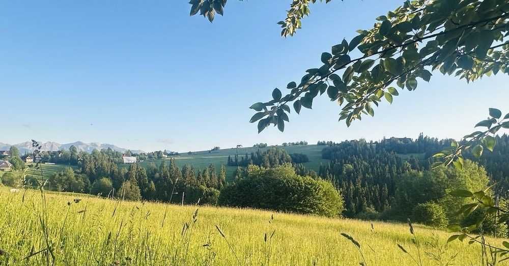 Działka budowlana Czerwienne z widokiem na Tatry