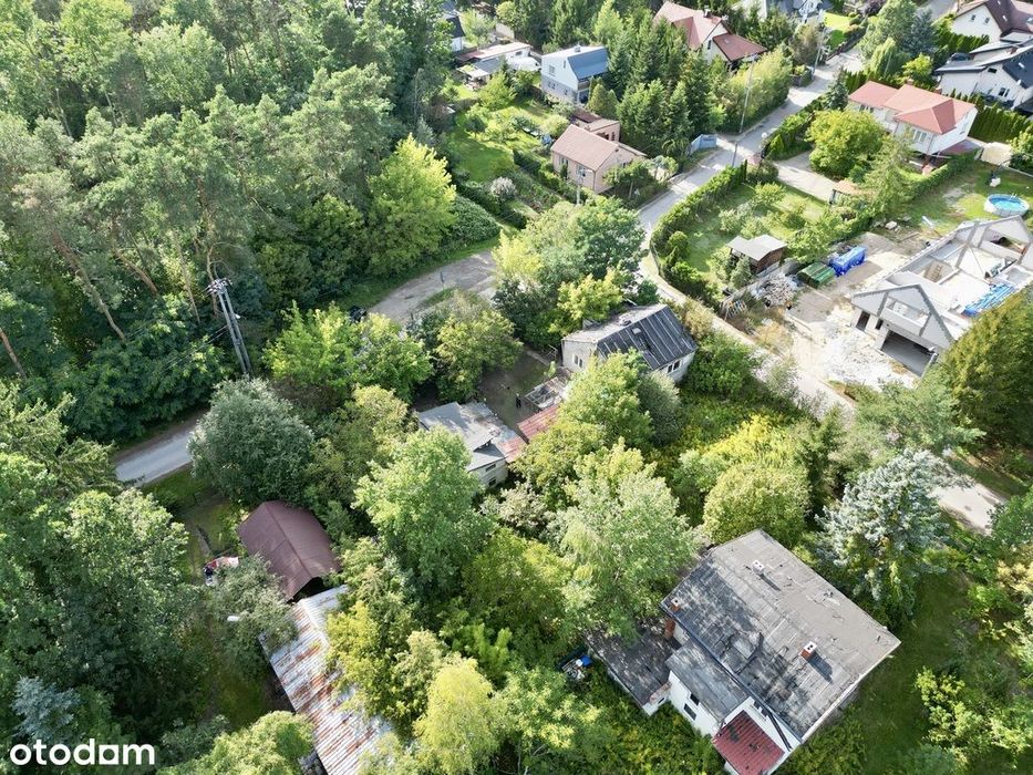 982 m² w Wolicy | las naprzeciwko | media | S8 - Widok 4