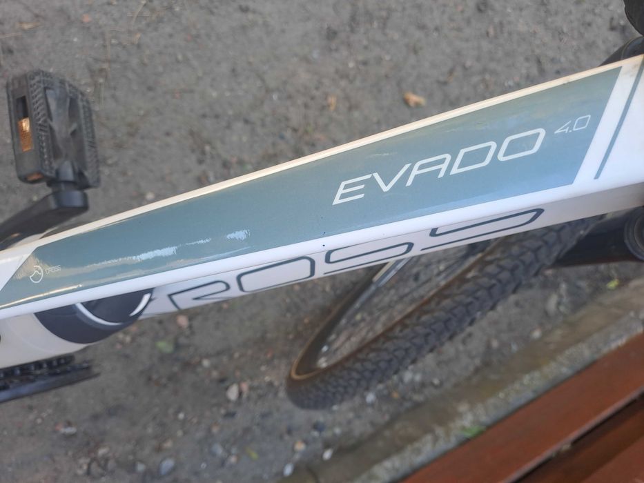Rower kross Evado 4.0