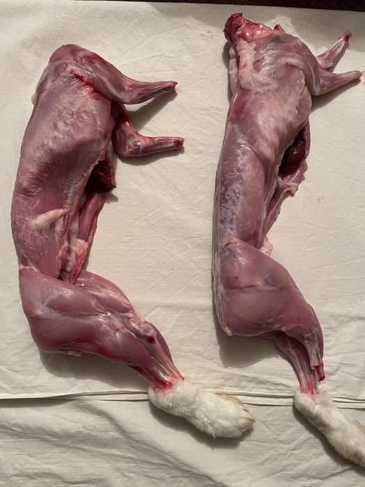 Продається мʼясо домашнього кролика / мʼясо кроля / тушка кролика