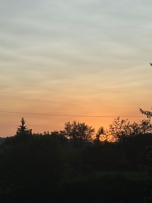 Усамітнена ділянка 1га ОЖБ