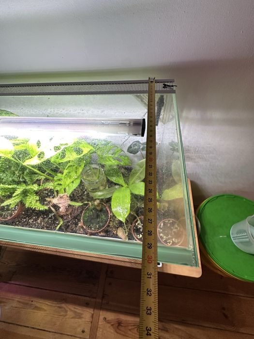 Terrarium tropikalne/botaniczne