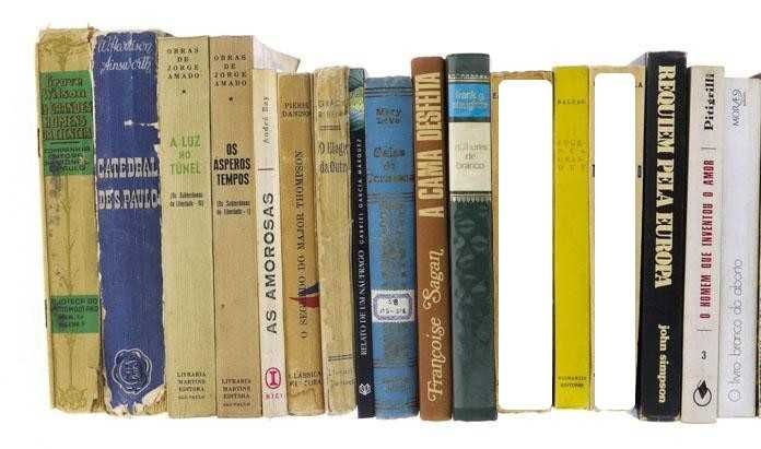 Lote livros literatura