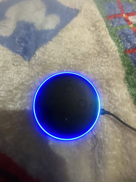 Alexa Amazon Nova436900503278080003